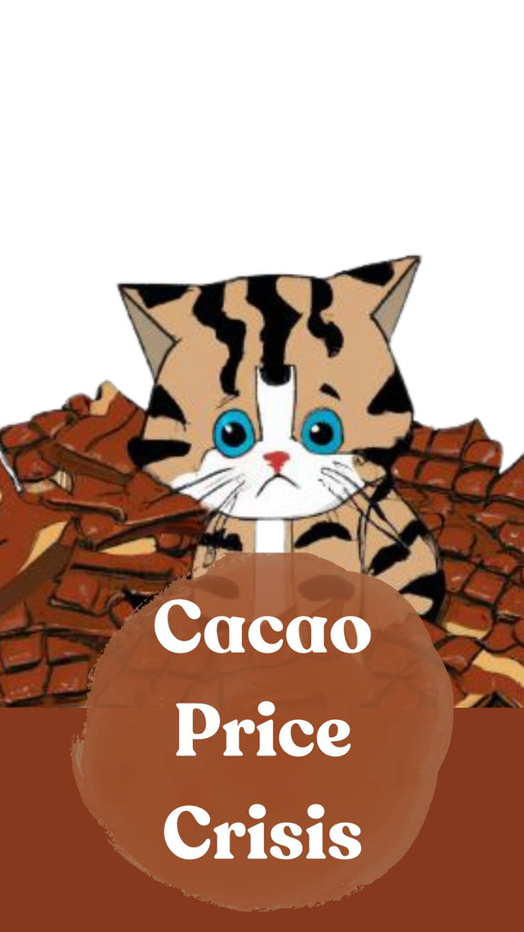 2023 Wholesale PRICE INCREASES - Colleen's Chocolates